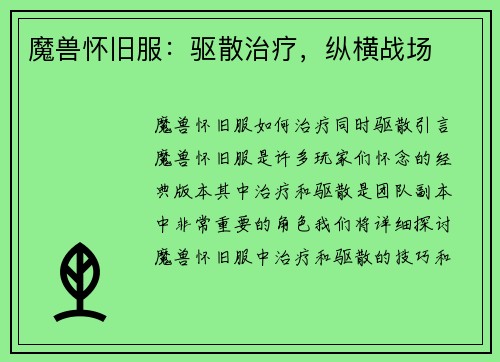 魔兽怀旧服：驱散治疗，纵横战场